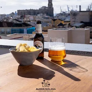  Apartment Luxury Duplex With Pool And Padel Court In Town